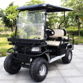 Electric Golf Car Tourist Coach in Scenic Spot (DH-C2)